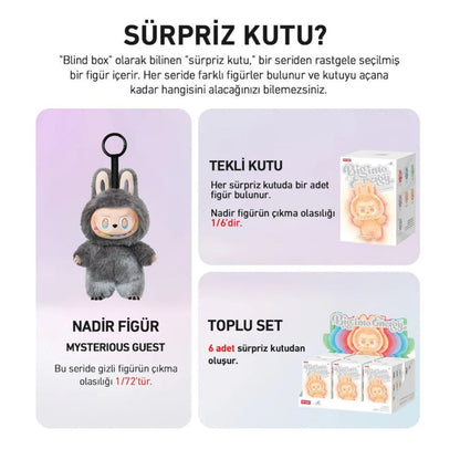Labubu Gizemli Kutu | Sürpriz Dolu Kutu Açılım Heyecanı!
